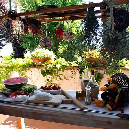 Ines The Elegance Of The Tuscan Countryside Terranuova Bracciolini