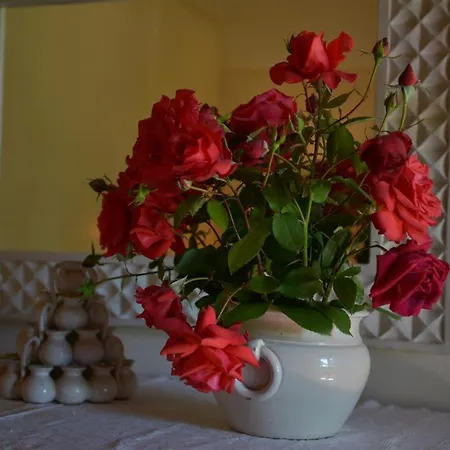 Ines The Elegance Of The Tuscan Countryside Villa Terranuova Bracciolini