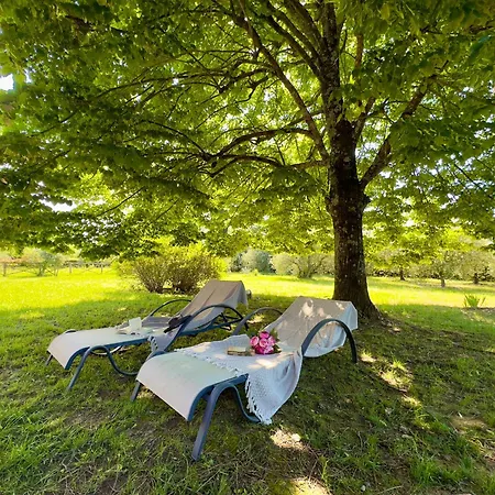 Ines The Elegance Of The Tuscan Countryside Villa